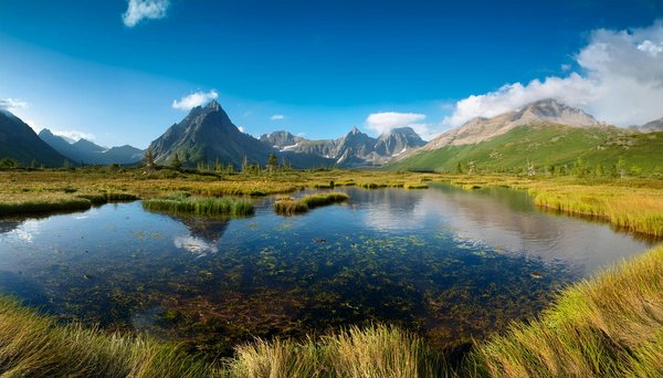 Guide du voyageur solo en croisière sur le budget